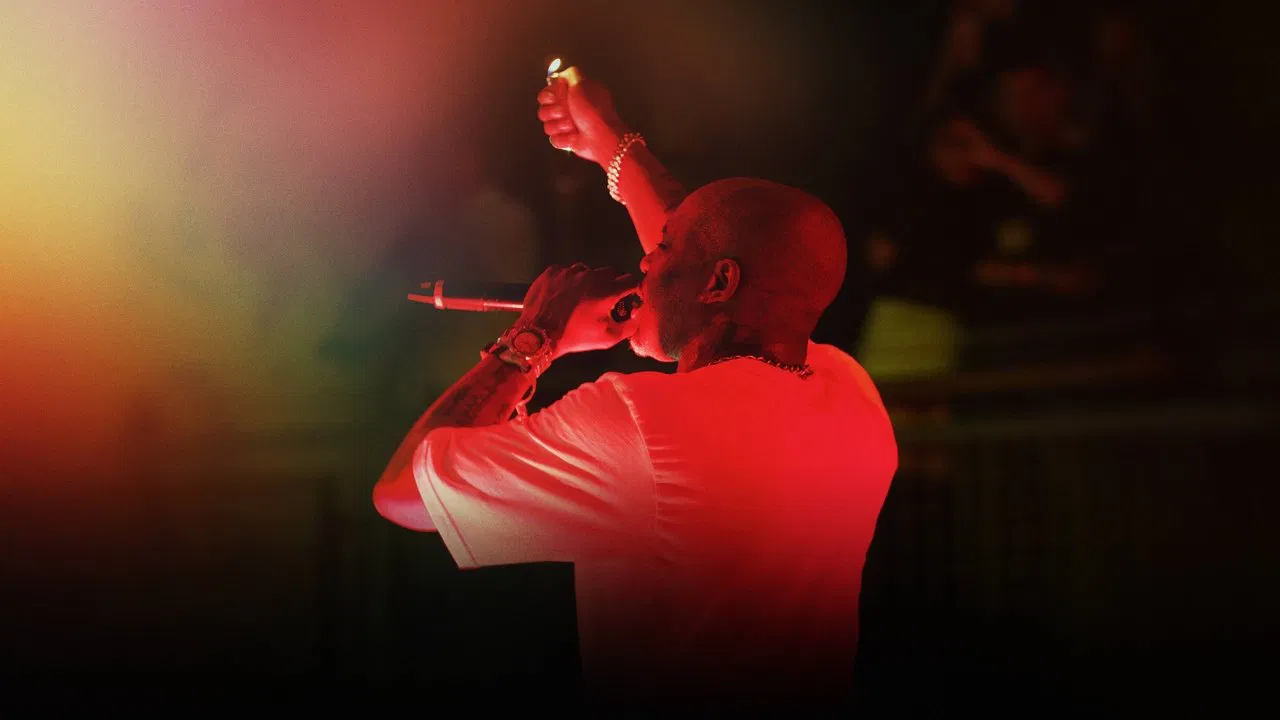 DMX: Don't Try to Understand backdrop