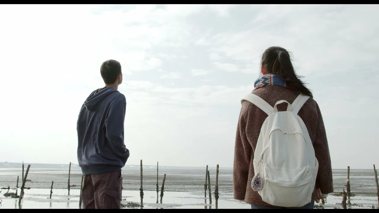 Cattle, Oyster and Memories​ backdrop