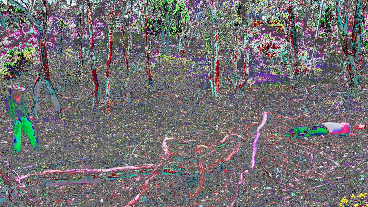 western fmli backdrop