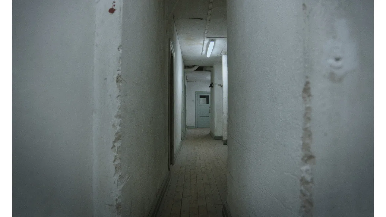 Night Beings backdrop