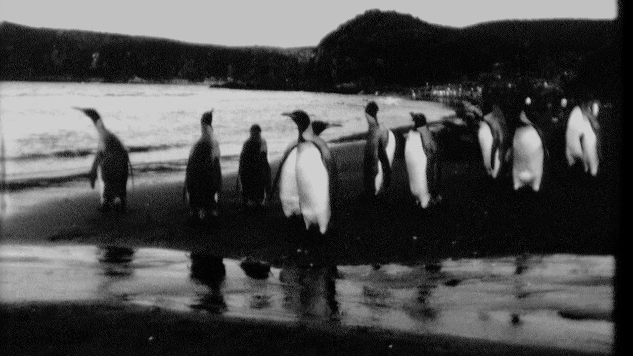 End of Summer backdrop