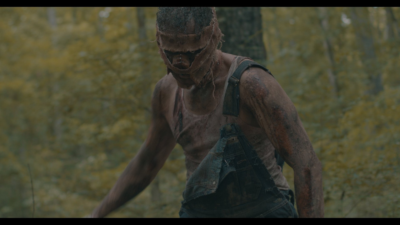 Piglet Rising backdrop