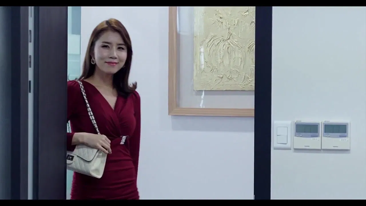 My Wife's Videos backdrop