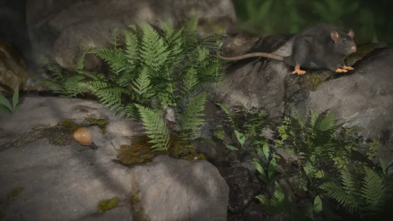 Accidental Host: The Story of Rat Lungworm Disease backdrop