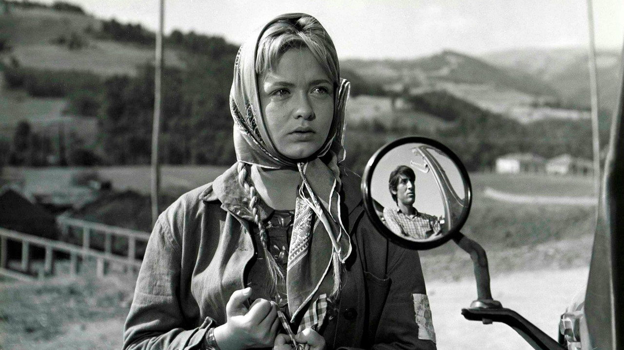 Superfluous backdrop