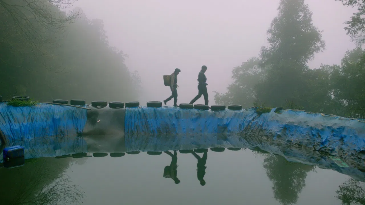 Tayal Forest Club backdrop