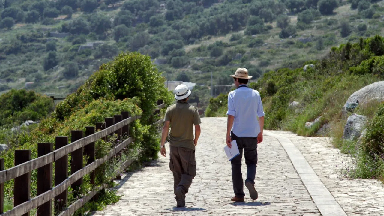 Quiet Bliss backdrop