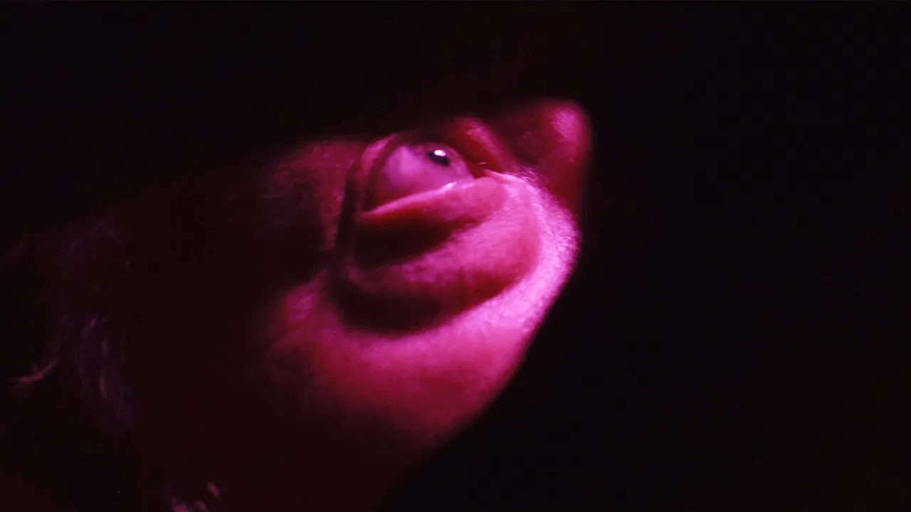 The Program backdrop