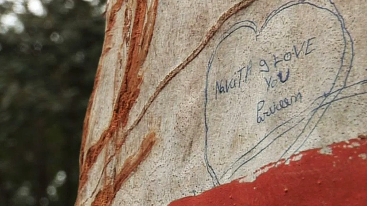 Morality TV aur Loving Jehad: Ek Manohar Kahani backdrop