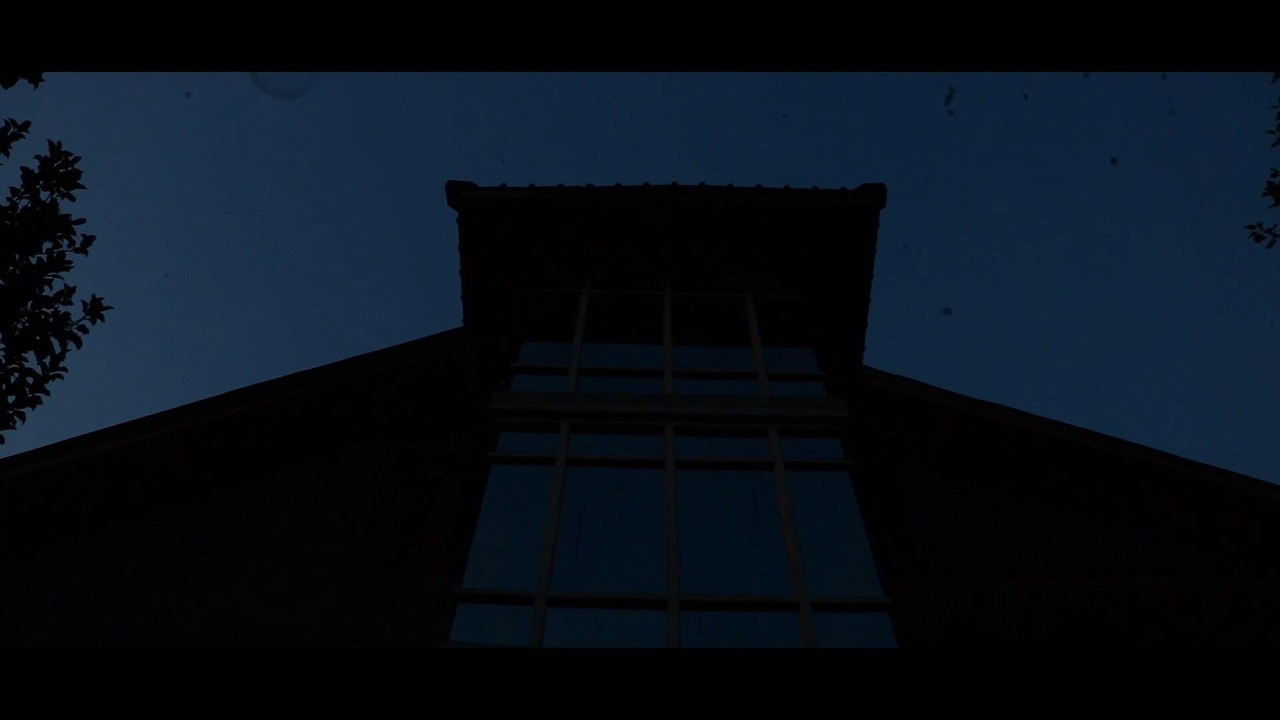 Antihumanism backdrop