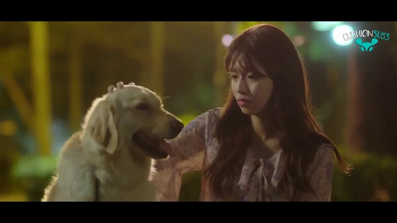 My Woofy Poofy Love backdrop