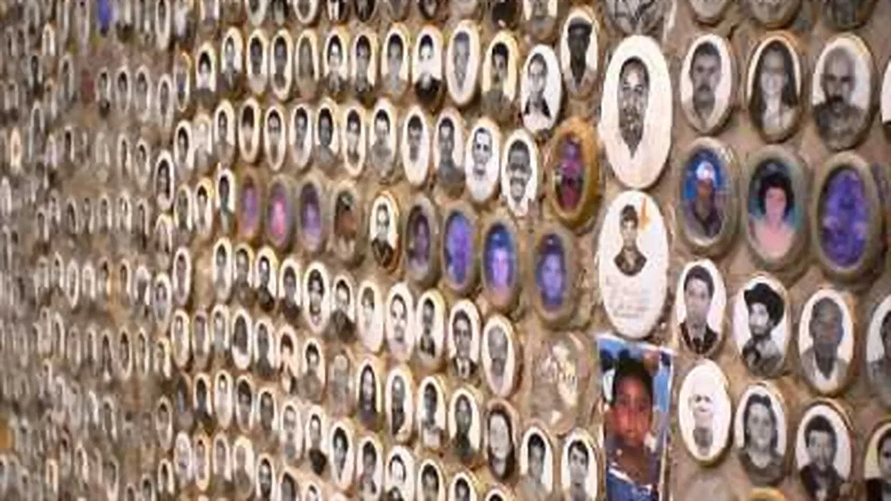 They Killed My Brother backdrop