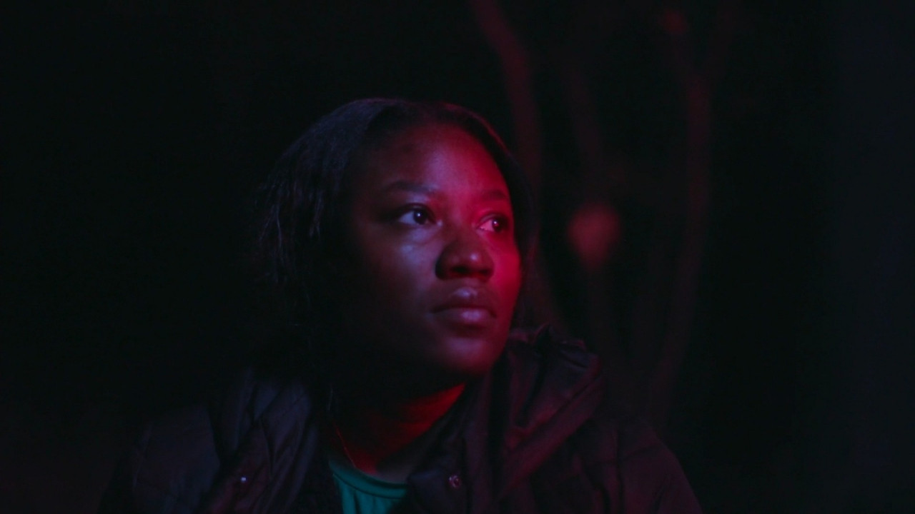 The Buyer's Paradox backdrop