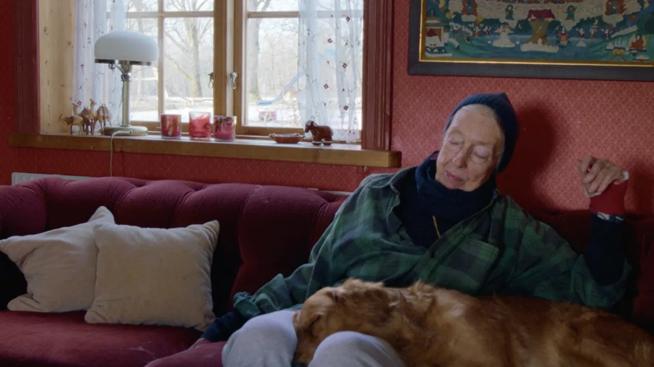 Nina Hedenius - ett ögonblick i sänder backdrop