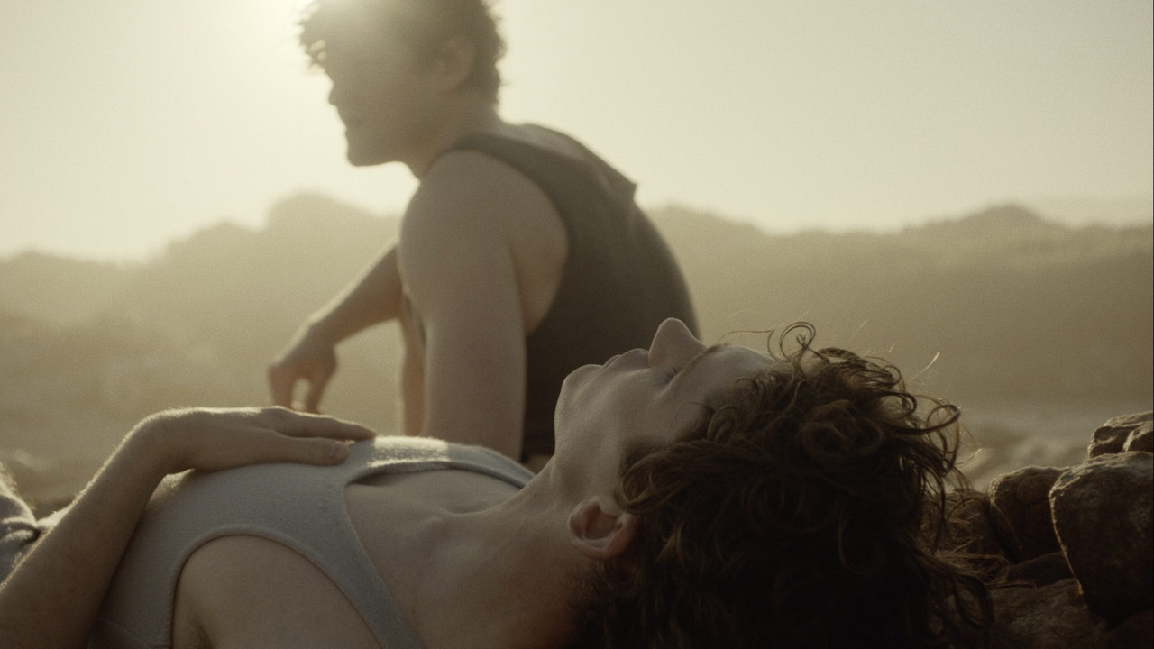 Lilies Not for Me backdrop