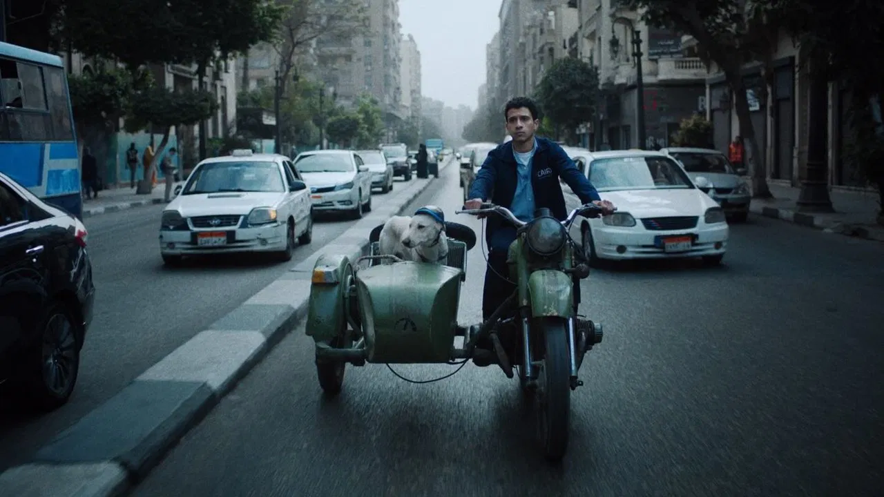 Seeking Haven for Mr. Rambo backdrop