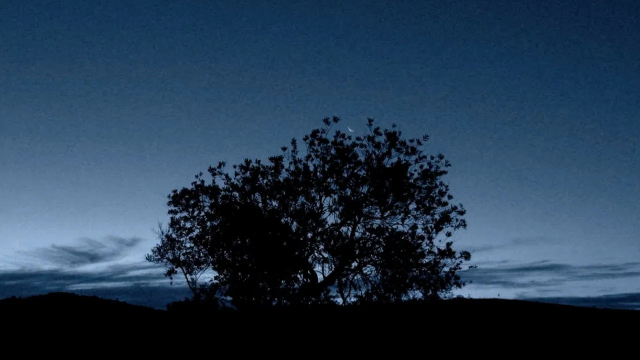 Near the clouds backdrop