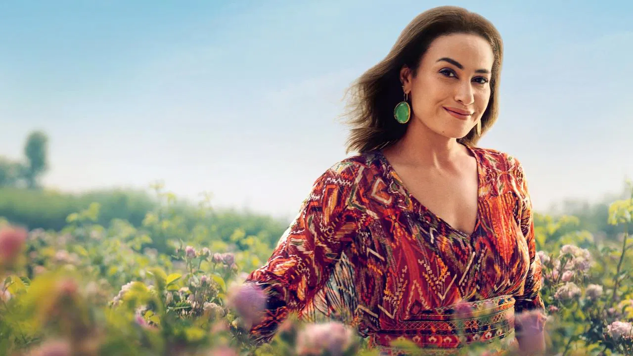 Finding Ola backdrop