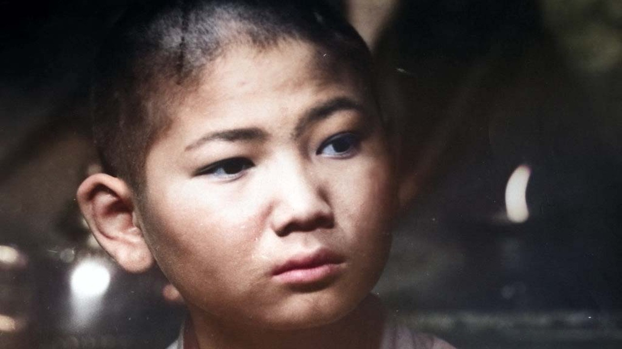 Shepherd Naidan backdrop