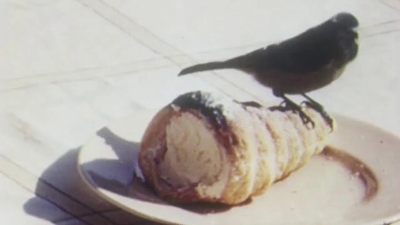 On Closer Inspection backdrop