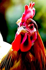 AI Voice: 3 Elevenlabs.io