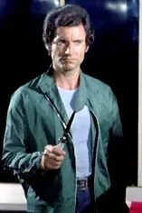 Domenico Cianfriglia