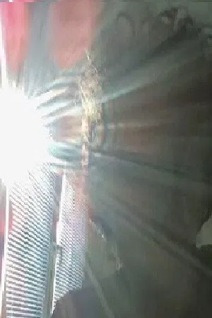 antonio dimovski photo