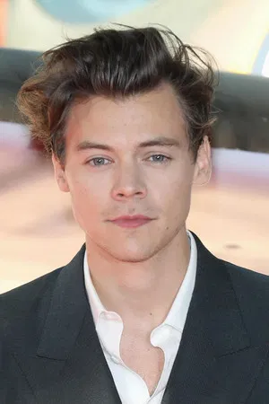 Harry Styles photo