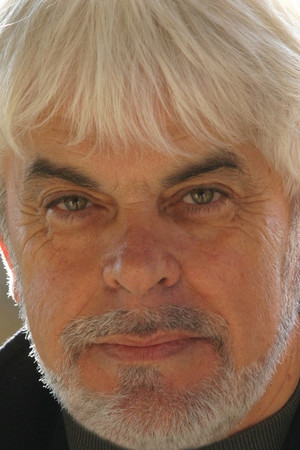 Valerio Massimo Manfredi photo