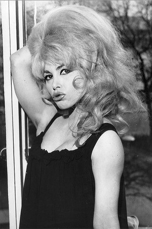 Lady Chinchila photo