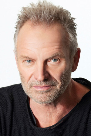 Sting photo