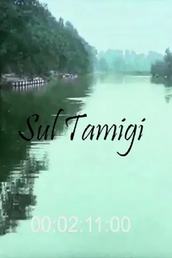 The Banks of the Thames from Oxford to Windsor poster