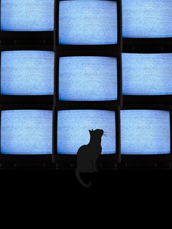 The Coolest Guy In School poster