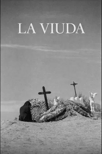 The Widow poster