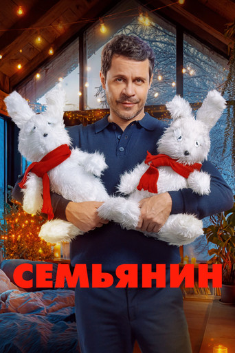 The Family Man poster