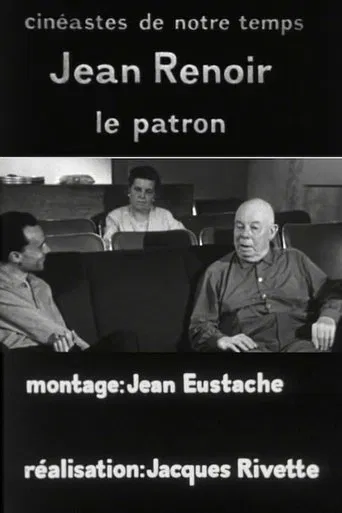 Jean Renoir, le patron, 3e partie: La règle et l'exception poster