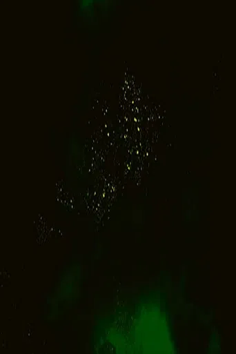 Regatta (Part III) poster