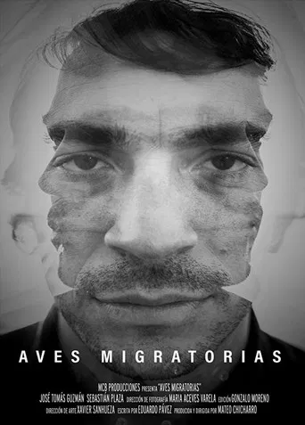 Migratory Birds poster