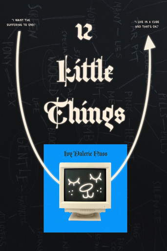 12 Little Things poster