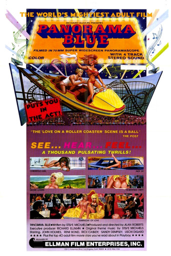 Panorama Blue poster