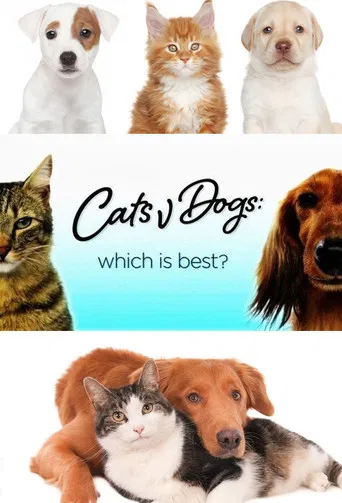 Cats v Dogs: Which is Best? poster