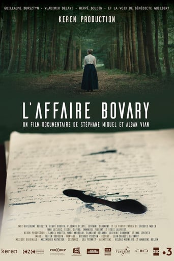 L'affaire Bovary poster