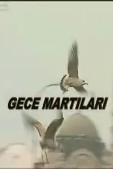 Gece Martıları poster