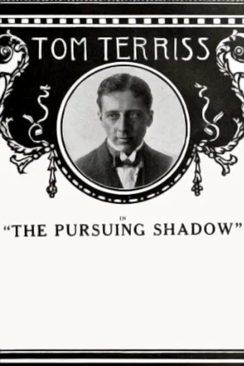 The Pursuing Shadow poster