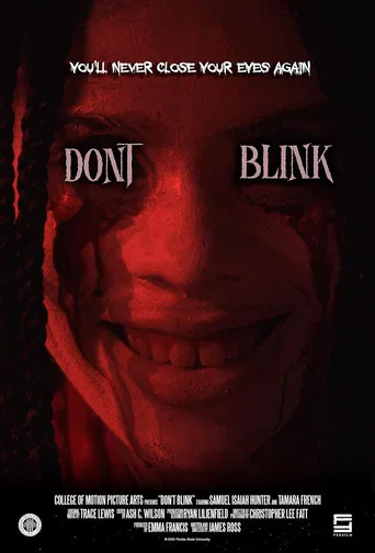 Don't Blink poster