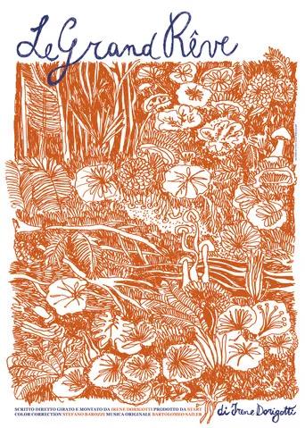 Le grand rêve poster