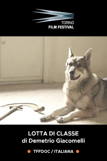Lotta di Classe - Il cinema dei ragazzi di Emilio Sidoti poster