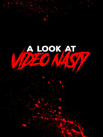 A Look at Video Nasty poster
