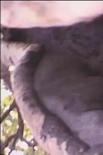 Béton armé contre dame nature poster