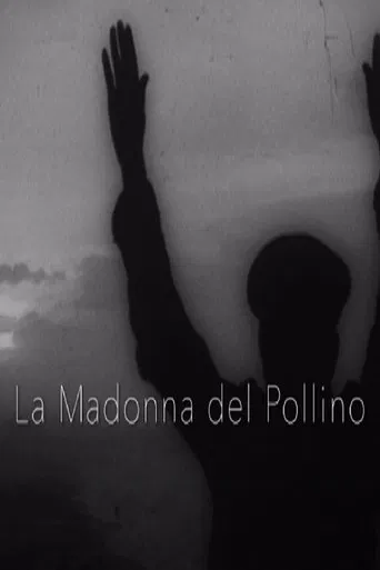 La Madonna del Pollino poster